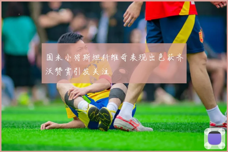 国米小将斯坦科维奇表现出色获齐沃赞赏引发关注