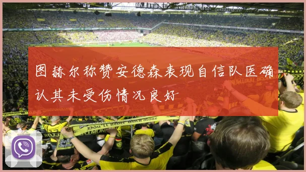 图赫尔称赞安德森表现自信队医确认其未受伤情况良好