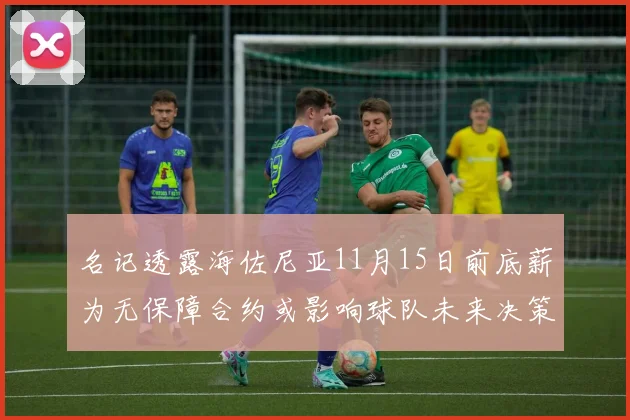 名记透露海佐尼亚11月15日前底薪为无保障合约或影响球队未来决策